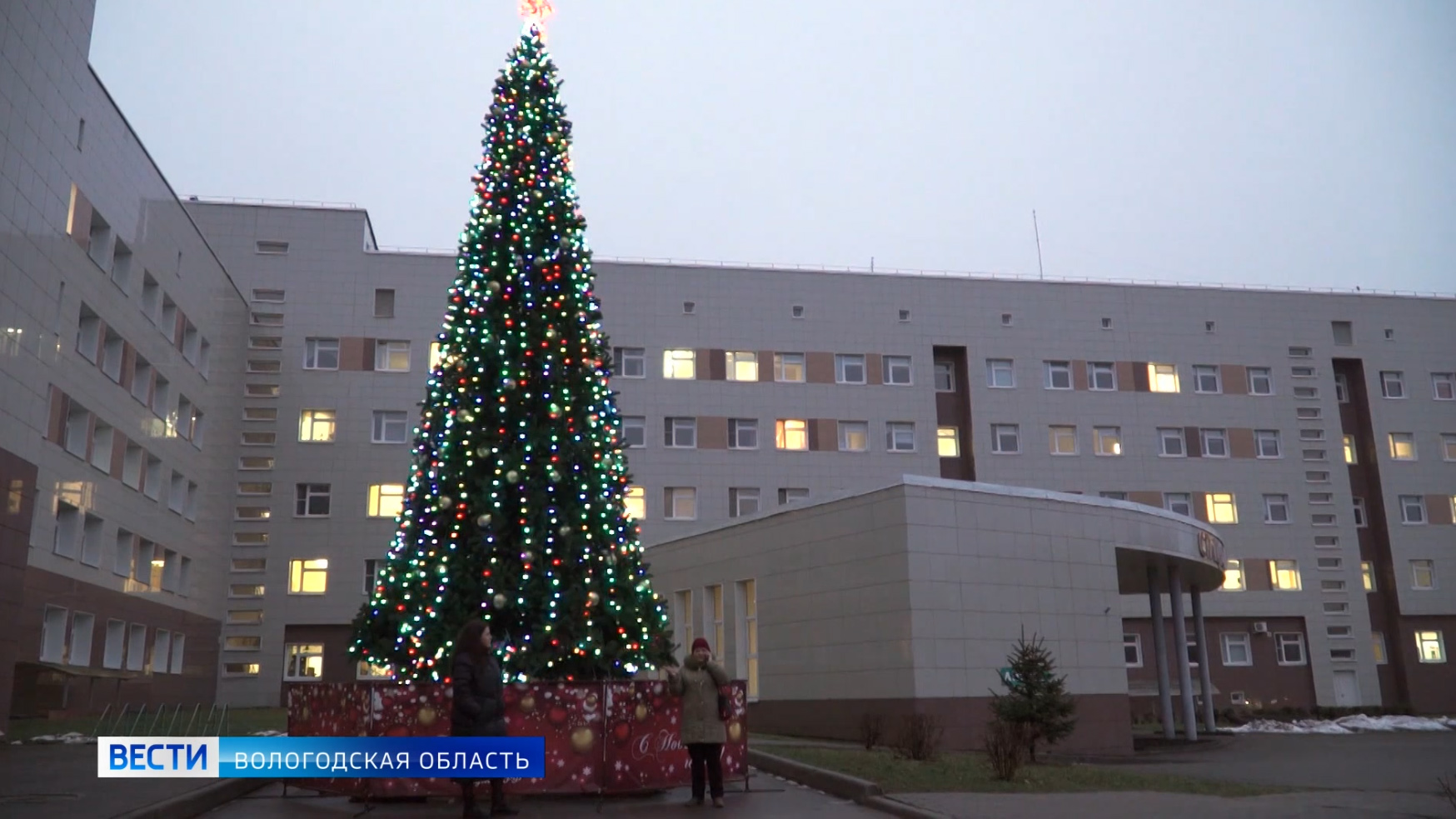 Ели вологда. Елка в больнице. Новогодняя елка в больнице. Рождественская елка в больнице. Новгодняя ёлочка в поликлинике.