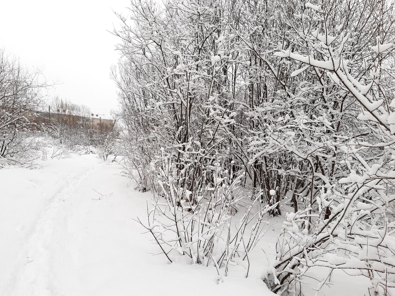 Выпадут сугробы. Выпал снег в Забайкальском крае. В Орске снег выпал. Алапаевский район Мугай выпал снег. Выпал снег в Идринском.