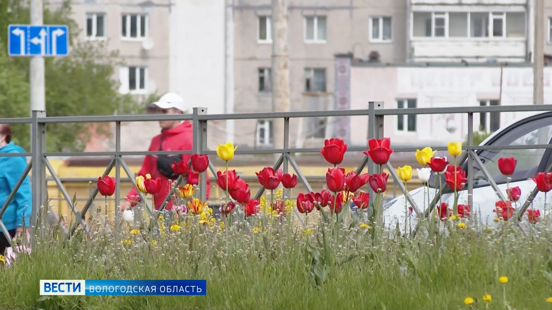 План б череповец