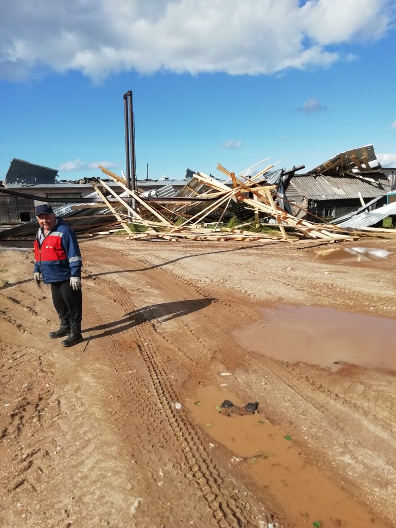 Погода в тарноге на точный прогноз. Ураган в Тарногском Городке.