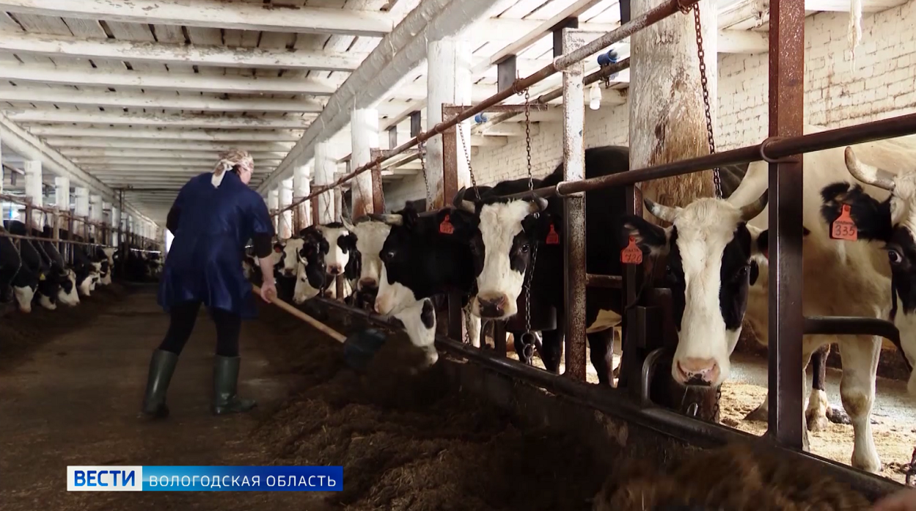 пожар на ферме. пожар на животноводческой ферме. совхоз "красавинский". пожары на сельскохозяйственных объектах. село павлово венгеровского района.