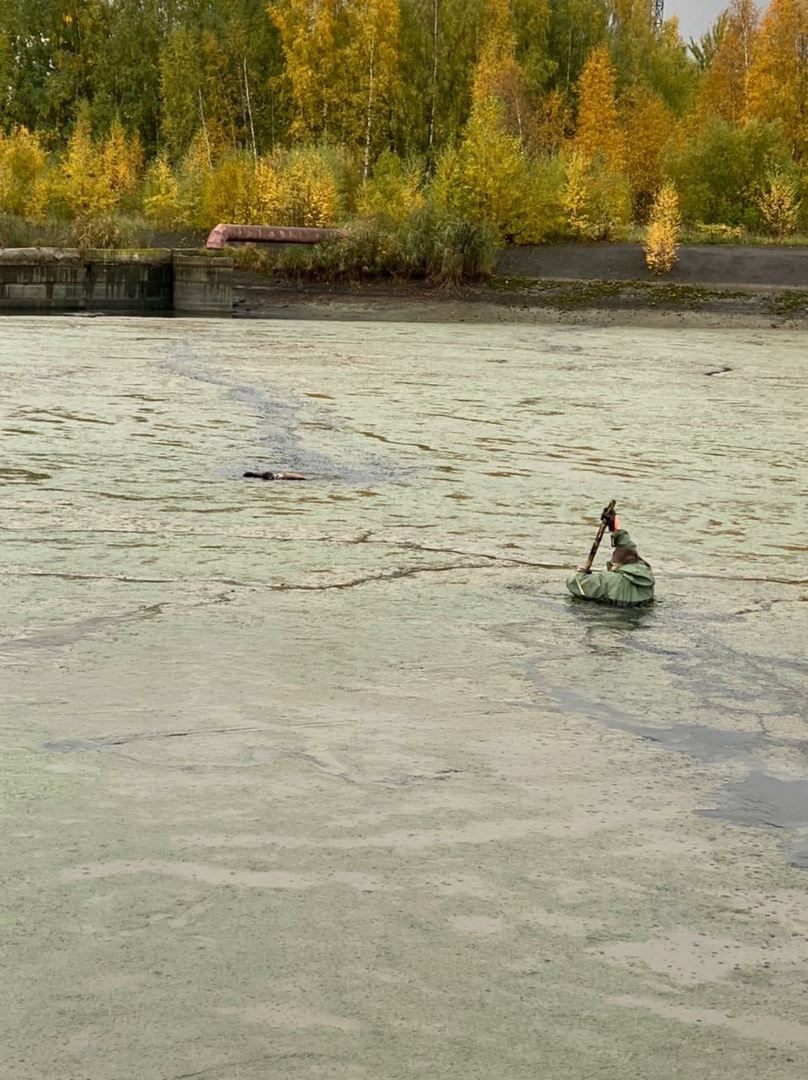 Орлан Череповец. Водоем для водоснабжения. Череповец спас фото.